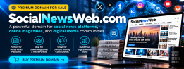 socialnewsweb.com logo